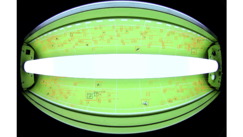 Automatic insect counting