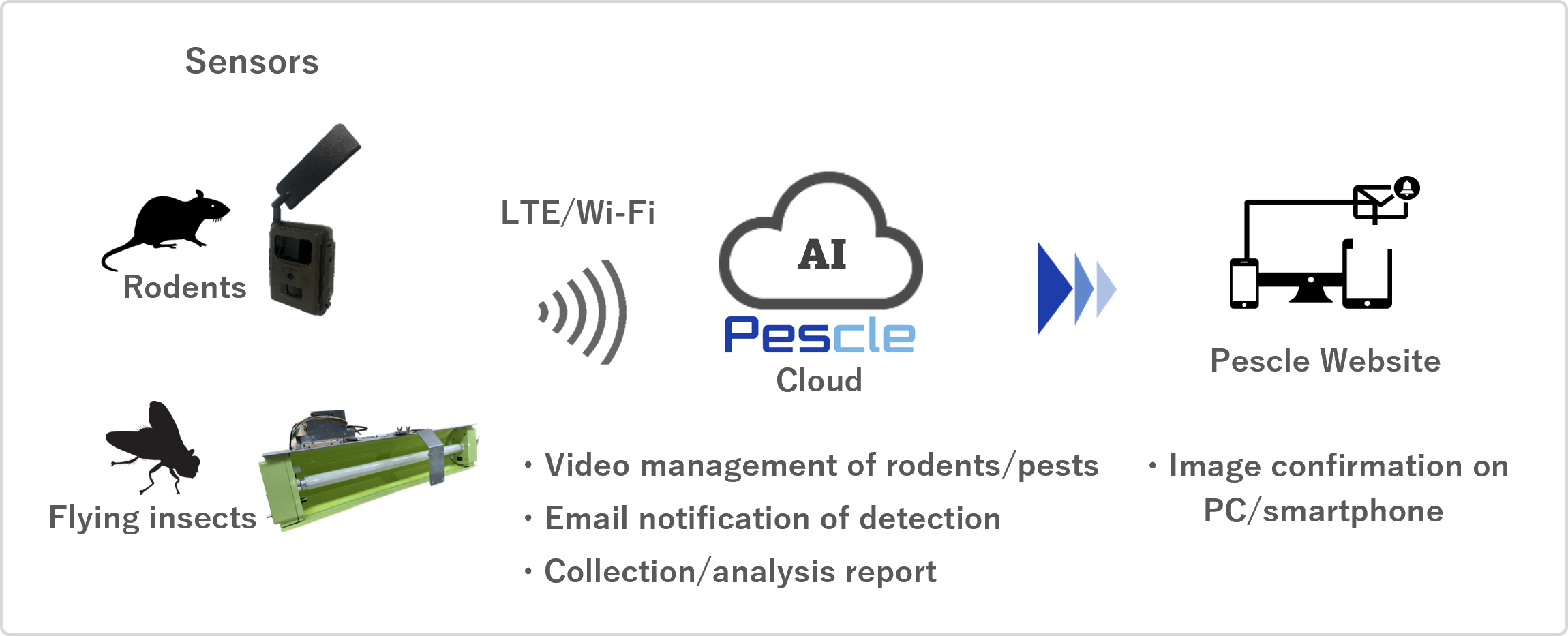 System overview